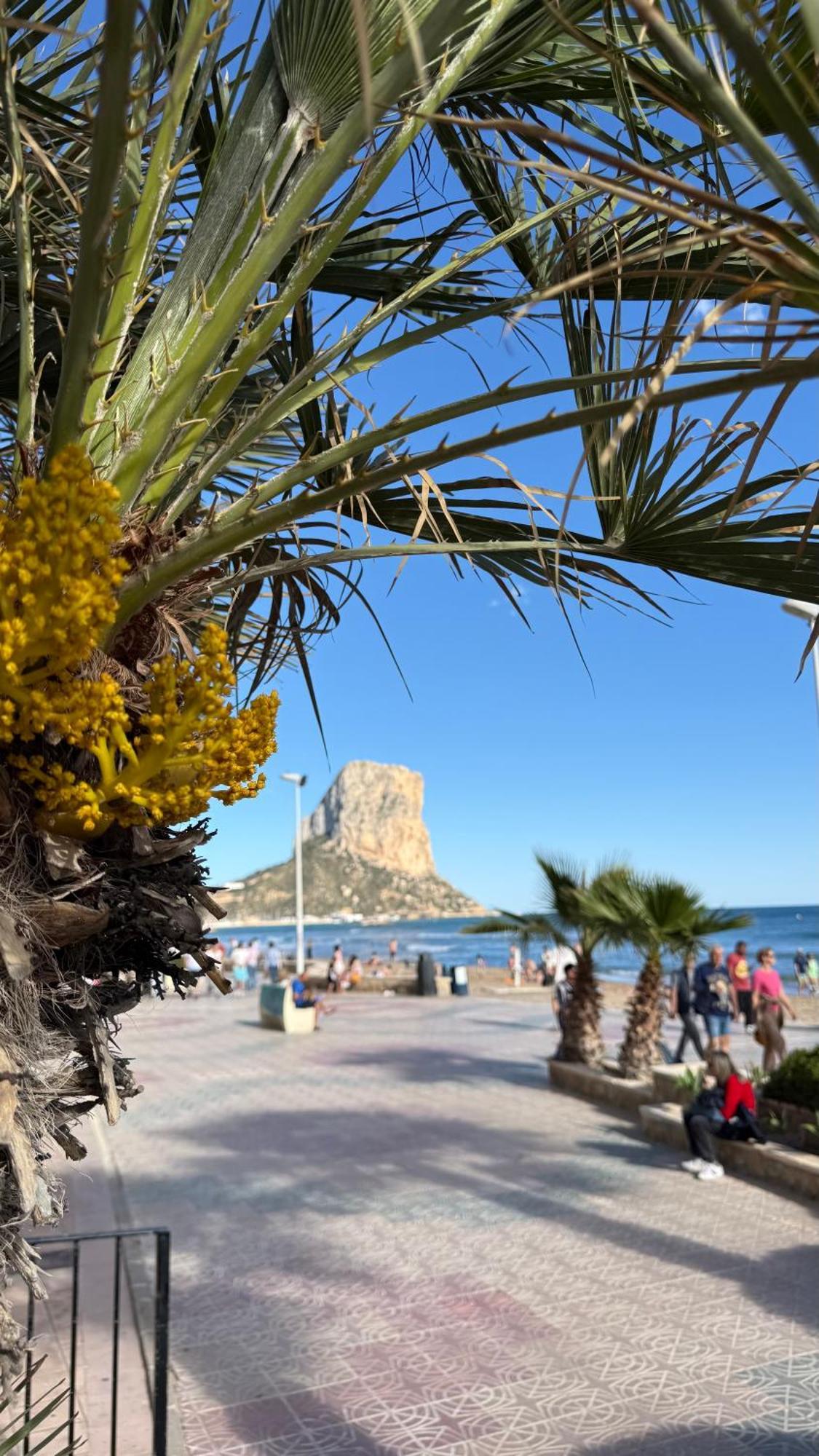 Esmeralda Suites Sunrise Con Piscina Calpe Exterior photo